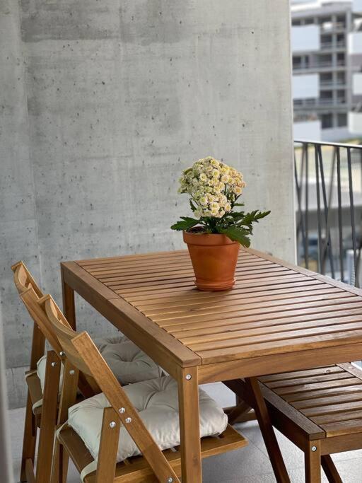 * Blanc Studio Aveiro * Ngoại thất bức ảnh